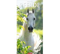 Pferde Kalender 2024