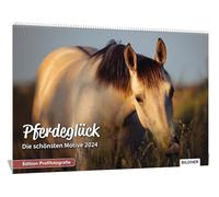 Pferde Kalender 2024 Pferdeglück! Die schönsten Pferdemotive und Aufnahmen 2024 : Hochwertiger Wandkalender DIN A3 quer/Kalender/Tierkalender/Pferdekalender - Edition Profifotografie