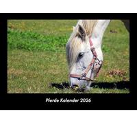 Pferde Kalender 2026 Fotokalender DIN A3: Monatskalender mit Bild-Motiven von Haustieren, Bauernhof, wilden Tieren und Raubtieren
