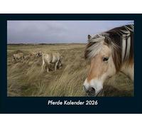 Pferde Kalender 2026 Fotokalender DIN A4: Monatskalender mit Bild-Motiven von Haustieren, Bauernhof, wilden Tieren und Raubtieren