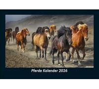 Pferde Kalender 2026 Fotokalender DIN A5: Monatskalender mit Bild-Motiven von Haustieren, Bauernhof, wilden Tieren und Raubtieren