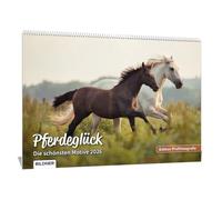 Pferde Kalender 2026 Pferdeglück! Die schönsten Pferdemotive und Aufnahmen 2026: Hochwertiger Wandkalender DIN A3 quer / Kalender / Tierkalender / Pferdekalender - Edition Profifotografie