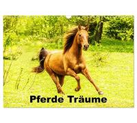 Pferde Träume (Wandkalender 2026 DIN A3 quer), CALVENDO Monatskalender: Pferde Fotokalender