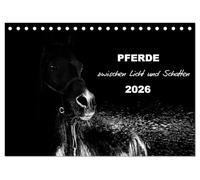 Pferde zwischen Licht und Schatten (Tischkalender 2026 DIN A5 quer), CALVENDO Monatskalender: Pferde vor schwarzem Hintergrund eindrucksvoll mit Licht in schwarzweiß dargestellt