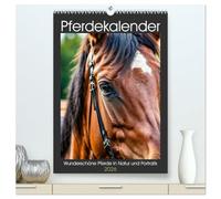 Pferdekalender - Wunderschöne Pferde in Natur und Portraits (hochwertiger Premium Wandkalender 2026 DIN A2 hoch), Kunstdruck in Hochglanz: ... die Schönheit der Tiere in allen Jahreszeiten