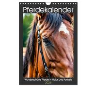 Pferdekalender - Wunderschöne Pferde in Natur und Portraits (Wandkalender 2026 DIN A4 hoch), CALVENDO Monatskalender: Majestätische Pferde werden in ... die Schönheit der Tiere in allen Jahreszeiten