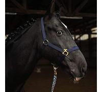 Pferdelinis Licol pour cheval, sang chaud, sang froid, sang froid, licol d'écurie, licol de pâturage, 2 positions réglables au niveau de la mentonnière et de la têtière, sûr et indéchirable (bleu