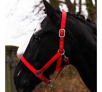 Pferdelinis Licol pour sang chaud, pur-sang froid, poney, licol d'écurie, licol de pâturage, boucles ardillon réglables en 2 positions, sûr et indéchirable (rouge, demi-sang (Full))