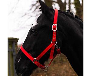 Pferdelinis Licol pour sang chaud, pur-sang froid, poney, licol d'écurie, licol de pâturage, boucles ardillon réglables en 2 positions, sûr et indéchirable (rouge, demi-sang (Full))