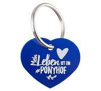 PFIFF 102218#Marque Soulhorse, Ponyhof