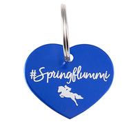 PFIFF 102218#Soulhorse, Springflummi II