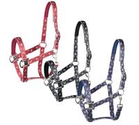 PFIFF 102742 Licol « Marine » Bordeaux Full