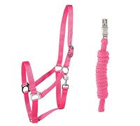 PFIFF 102931 Ensemble Licol et Longe en Plastique Rose