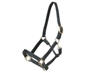 PFIFF Licol en Cuir Noir COB