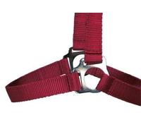 PFIFF Licol en Plastique Bordeaux P2