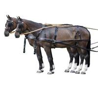 PFIFF Marathon Harnais, zweispänner, Noir/Marron Sang Froid