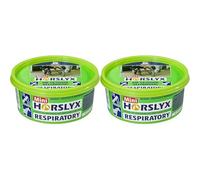 PFIFF Mastic Anti-Fuite Horslyx - 650 g (Lot de 2)