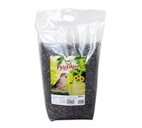Pfiffikus Tournesol rayé 10kg