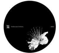 Pfirter, Kangding - Caos Y Orden Superior, Wars [Import]