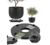 Pflanzwerk® Jardinière Porte Plantes*ULTRAPLAT Designer sous-vases à roulettes* Ø28cm pour Tous Les Pots et bacs à Fleurs *Design breveté* *capacité de Charge 120KG* *Made in Germany*