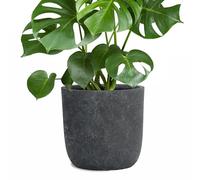 Pflanzwerk® Pot de Fleur Fibre de Verre Cup Ø27cm Lave Anthracite Jardinière antigel* *Protection UV* *Qualité européenne*