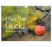 Pflück Dein Glück - Kleine Weisheiten für den Alltag (Wandkalender 2026 DIN A4 quer), CALVENDO Monatskalender: Kleine Weisheiten als Lebenshilfe für den Alltag