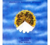 Pfm - Became The World