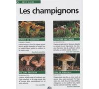 PG004 - Les champignons