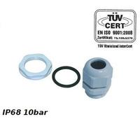 PG13,5 Presse-étoupe 6-12mm IP68 10bar Gris PROFI 34.13 E-P 2848