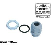 PG48 Presse-étoupe 34-44mm IP68 10bar Gris PROFI 34.48 E-P