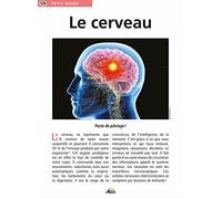 PG539 - Le cerveau