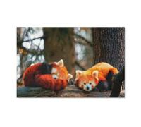 PGCKSK 5D Diamant Peinture Kit，2 Pandas Roux，Diamond Painting Kit Pour Adultes Strass DéCoration Murale De Bar（40x50cm）-B63