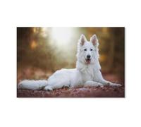 PGCKSK 5D Diamond Painting Strass Complet，Joli berger allemand blanc，Strass Peinture Par Numero Adulte Point De Croix Art Mural Cadeau De Décoration Halloween（50x60cm）-D33