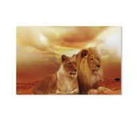 PGCKSK DIY Diamond Painting，Un couple au coucher du soleil aime le lion et la lionne，Diamond Painting, Cadeau de broderie de diamant en cristal pour adulte, Décoration de la maison（50x60cm）-D1