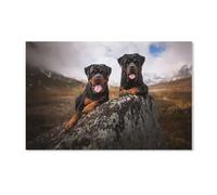 PGCKSK Kits De Peinture Diamant 5D Pour Adultes,Rottweiler,Diamond Painting_Adulte Diamond Painting Strass Cristal Complet Kits Art De La Mosaïque Halloween Cadeau(50x50cm)-D77