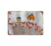 PGCKSK Métal Étain Signe,Oiseau, rouge-gorge,Plaque Rétro Fer Signe Mural Mural Art Déco pour Salle Bain Restaurant Maison Cafés Bar Pub Déco Cadeau-20 x 30 cm (8 x 12 inch) J29