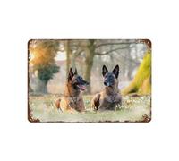 PGCKSK Panneau en métal en étain, Les Malinois,Tin Sign Vintage Decor Cave Café Bar Chambre Maison Décoration murale nostalgique en étain-15 x 30 cm （6 x12 inch） K14