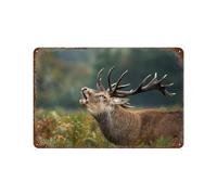 PGCKSK Panneau Métal Vintage,Gros plan d'un cerf,Fer Plaque Peinture Rétro Décoration Murale Art Mural à Suspendre pour Jardin Cour Maison Café Extérieur Club Bar,30 x 40 cm (12 x 16 inch)-P8