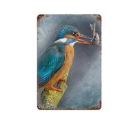 PGCKSK Plaque en métal vintage,Martin-pêcheur vert mangeant du poisson,pour cafés, bars, pubs, magasins, décoration murale amusante et rétro pour homme et femme-30 x 40 cm (12 x 16 inch) F-2