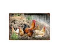 PGCKSK Poulet du village de la ferme du coq,Vintage Métal Signe D'Étain pour la Maison Cuisine Ferme Jardin Garage Décoration Murale,20 x 30 cm (8 x 12 inch)-S36