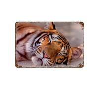 PGCKSK tigre,Vintage Métal Signe D'Étain pour la Maison Cuisine Ferme Jardin Garage Décoration Murale-15 x 30 cm (6 x12 inch) G-36