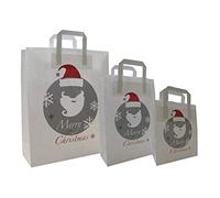 PGV Lot de 100 Sacs Cadeaux de Transport en Papier avec Anse Plate pour Noël 18 + 8 x 22 cm