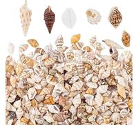 Ph 1300-1500pcs Mini Epoxy Resin Shell Small Shell For Creation Pets Spiral Shells For Small Bottles,Party Bag,Wedding Decoration,Not Perforated 7-12 Mm