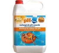 Ph Down Liquid 5 L - Abaisse La Valeur Du Ph Dans Votre Piscine Ou Votre Spa