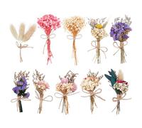 PH PandaHall 10 Lot de Fleurs Séchées pour Vase Mini Bouquets de Fleurs Séchées pour DIY Décorations de Mariage Fêtes d'automne Loisirs Créatifs Décoration de Vase, 10.5~19.5cm