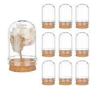 PH PandaHall 10pcs Cloche Dôme en Verre, Dôme D'affichage en Verre avec Base en Liège Mini Dôme en Verre Décoratif Cloche Vitrine pour Stockage de Fleurs Snad Décoration de Fête à La Maison, 2x3.6cm