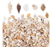 PH PandaHall 1300-1500pcs Mini Coquillage Resine Epoxy Petit Coquillage pour Creation Pets Coquillages en Spirale pour Petites Bouteilles, Sac de Fête, Mariage Decoration, Pas Perforé 7~12mm