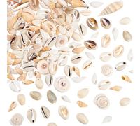 PH PandaHall 150~200pcs 16~45mm Perles de Coquillage Mixte, Bracelet Coquillages Percés Coquillons Naturels Coquille de Cauris de Conque pour Decoration, Bijoux Collier Bracelet, Trou: 1-2mm