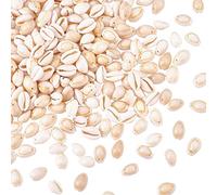 PH PandaHall 200-300pcs Coquillages Bijoux Perles de Coquillage Naturel Spirale Perles Coquille Perle Cauris avec trou pour Bracelet Collier, Décoration, 9-12x10-16mm, Trou: 1-2mm