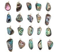 PH PandaHall 20pcs Pendentifs en Coquille de Paua Naturelle Charmes en Coquille d'Ormeau Dorée avec des Trous et Charmes en Pépites Enveloppés de Fil pour Bijoux Colliers DIY Plage et d'Été